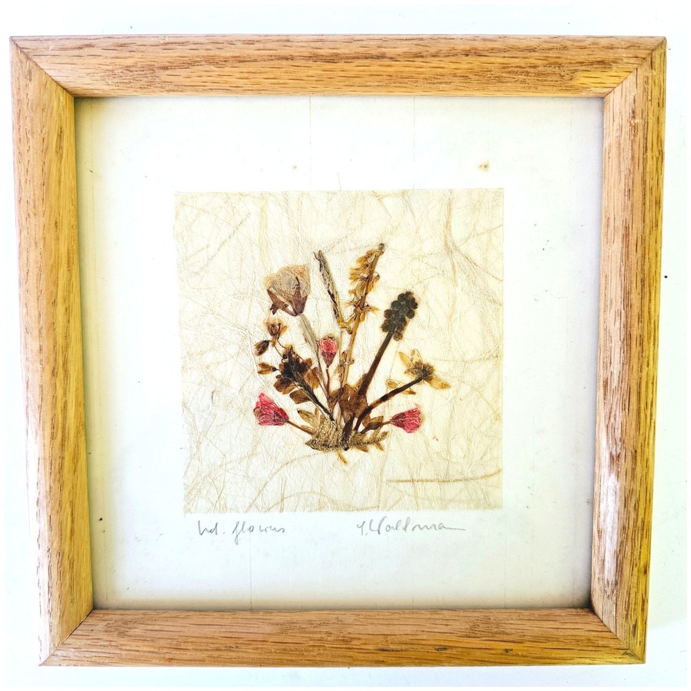 Vintage Signed Pressed Flower Art Framed Botanical Wildflower Cottagecore